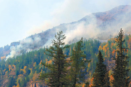 新疆阿勒泰自然保護區防火預警