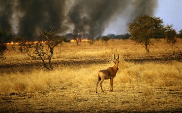 草原防火監控預警系統
