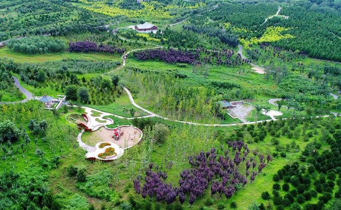 防患未“燃”，房山筑牢森林“防火墻”！