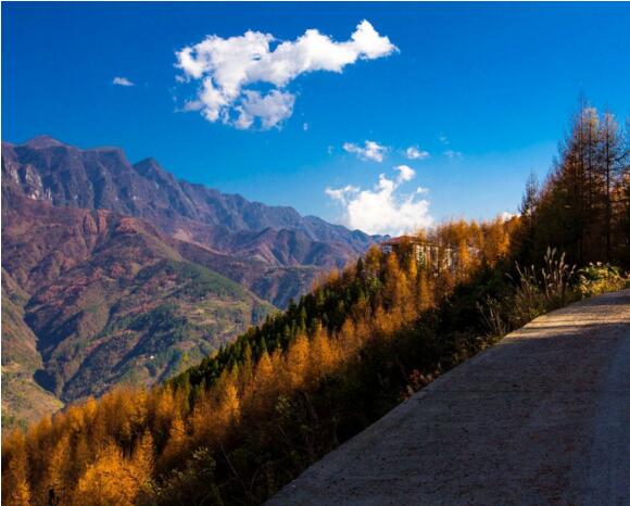 實施森林防火監控建設 提升森林防火預警能力