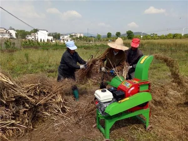 狠抓秸稈禁燒，我們這么干！