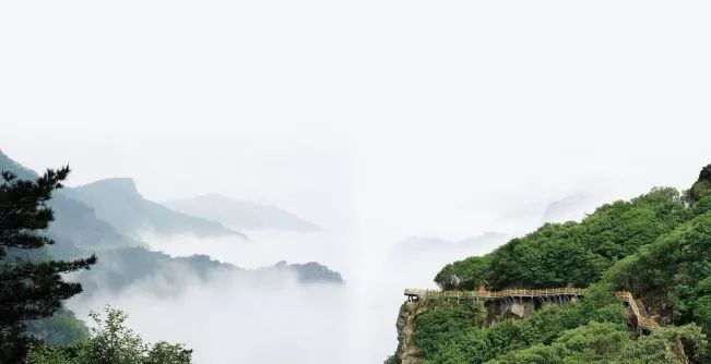 連云港將新增12個森林公園，快看有你家附近的么！