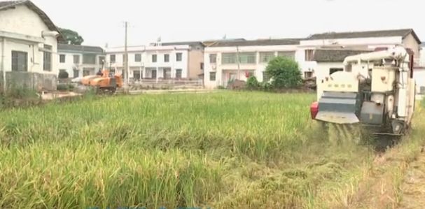 秸稈焚燒，NO！這個神器了解一下，湘鄉安排180萬資金全面推廣