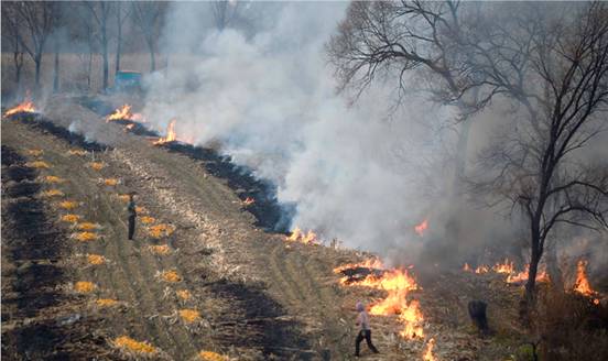 玉米秸稈別焚燒了，河北衛星監控幾乎全覆蓋！違者重罰！