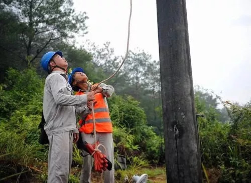 白露已過，秋天來襲，不怕不怕，有我在