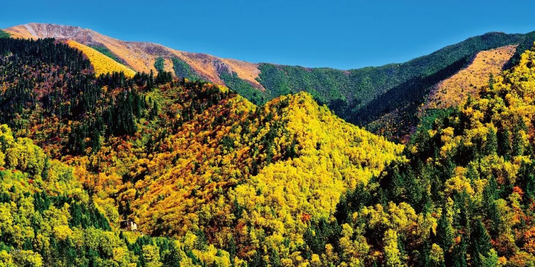 森林防火黑科技!吉林這套林業防火監測預警系統做到全國首創