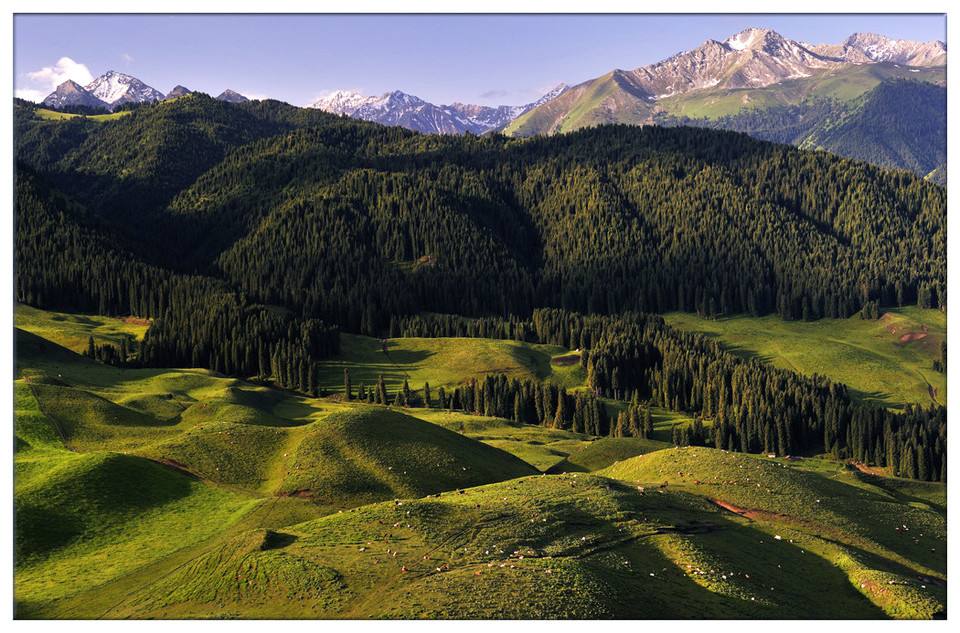 光電轉臺、無人機······環(huán)境檢測領域里的“黑科技”