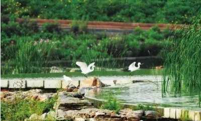 這樣的石景山,實現林區視頻和煙火識別系統無死角監控