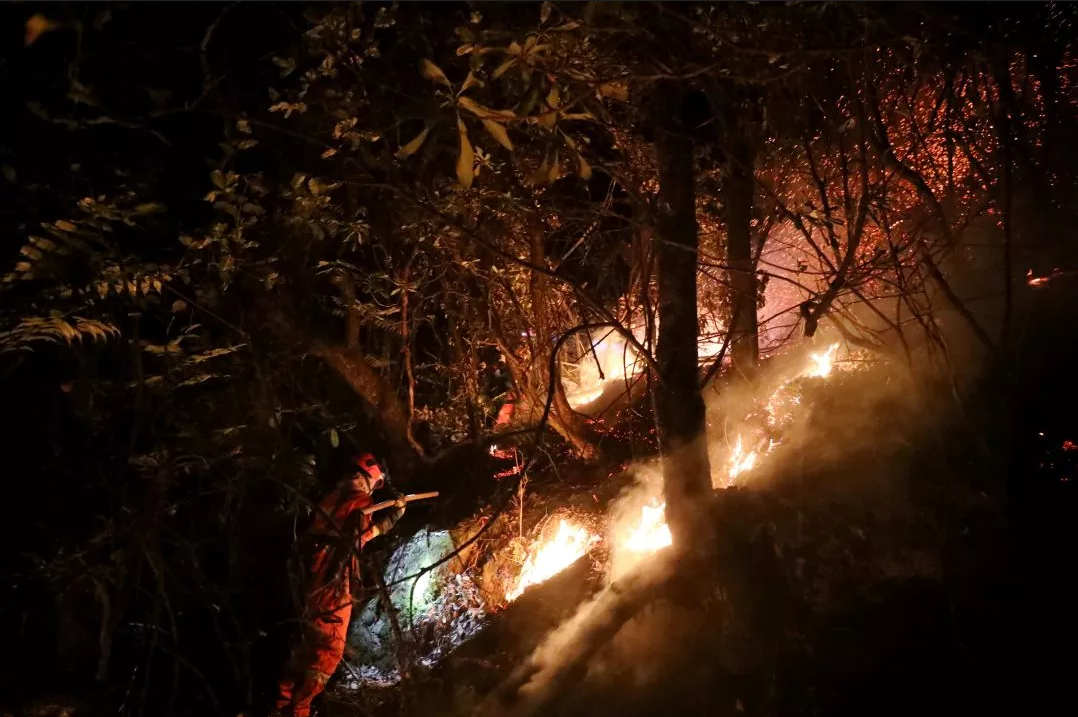 四川冕寧突發森林火災，750余人緊急撲救