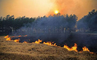 注意！千萬‘別點火’文安實現秸稈禁燒監控全覆蓋