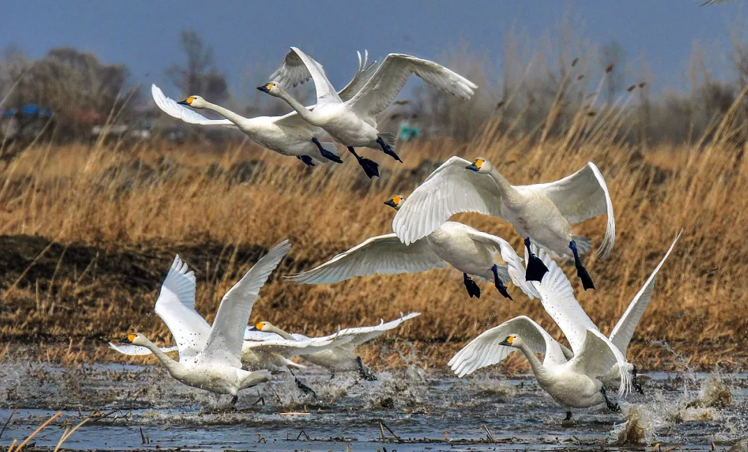 全省“藍天工程”24小時監控!張家口人再也別干這事!