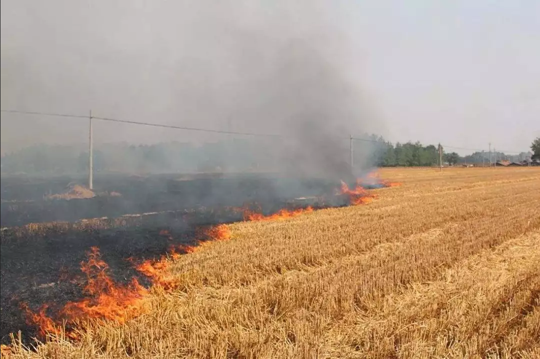 全方位、全覆蓋、無縫隙、實時監控！夏收的秸稈你別燒！