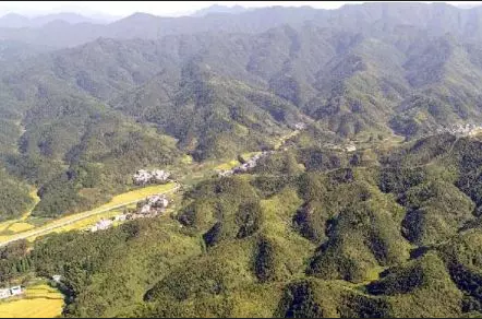 綠色通山三部曲—— 通山開展林業建設走筆