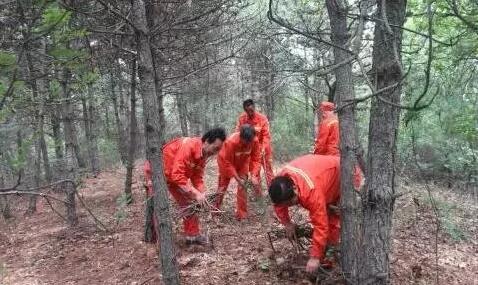 大王派我來巡山 我陪村民去上墳 這個地方的護林防火真到位