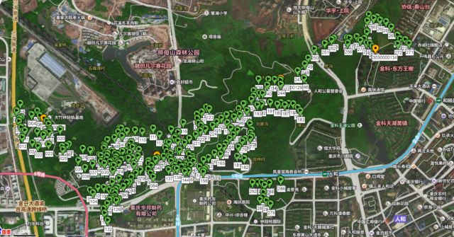 森林火災監控與防范