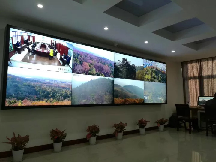 遠程監控、信息共享、統一指揮……厲害了，森林防火高科技！