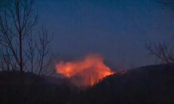 森林防火警鐘長鳴 從這些警示案例中吸取教訓！