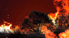 森林眼監測系統和森林防火地理信息系統在森林火災預警監測應用中的影響