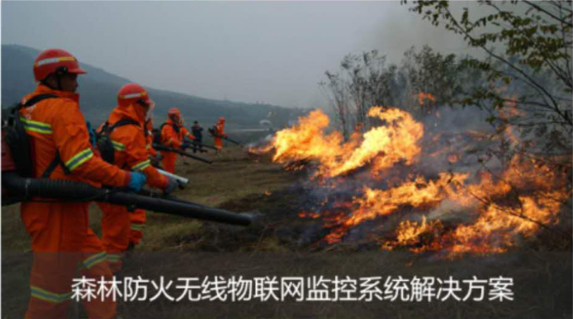 森林防火監控系統
