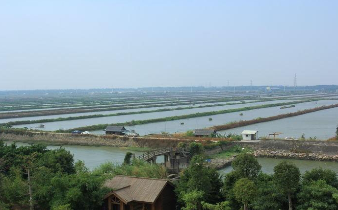 魚塘雙光譜云臺攝像機