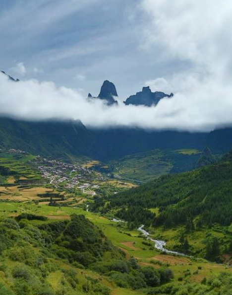 ?林草森林火情監控雙光譜設備