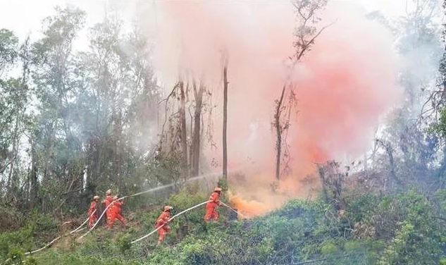 森林防火監測預警系統