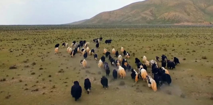 ?草原防火監控工作需要專業的人員和新進的科技產品一起完成