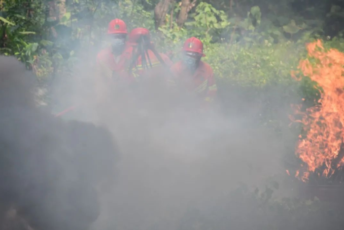 智能林火預警系統