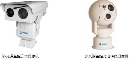 ?知識科普：森林防火這些關鍵知識點必須知道，非常重要！