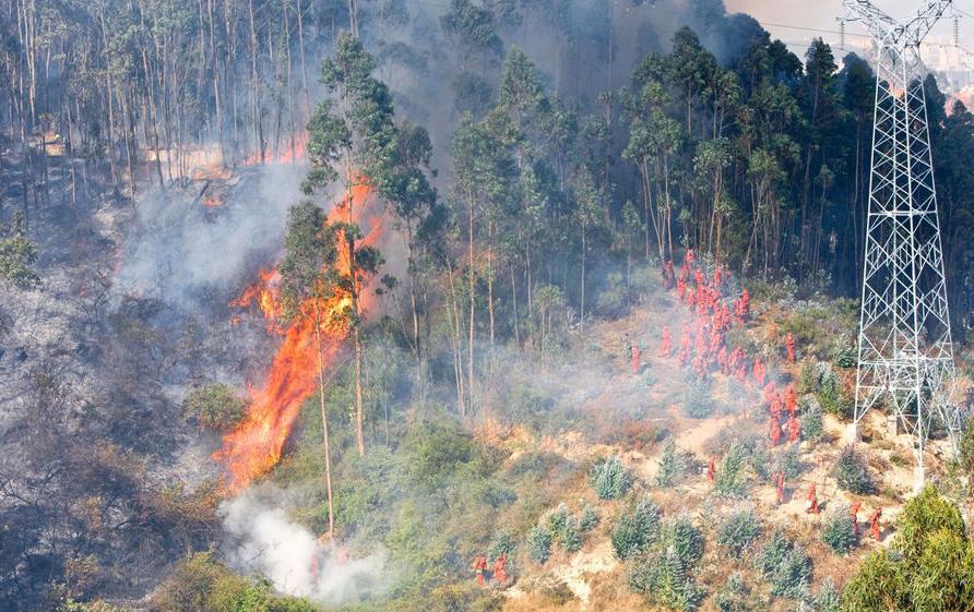 防山火視頻監控云臺攝像機