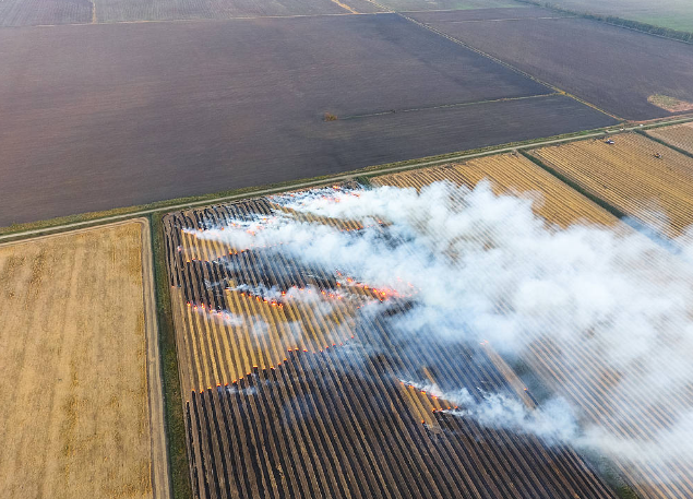 秸稈焚燒監(jiān)控云臺(tái)攝像機(jī)