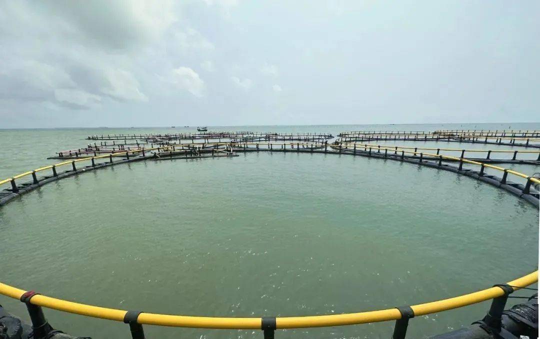 海域牧場(chǎng)實(shí)時(shí)防盜、防污染動(dòng)態(tài)監(jiān)視監(jiān)測(cè)系統(tǒng)解決方案