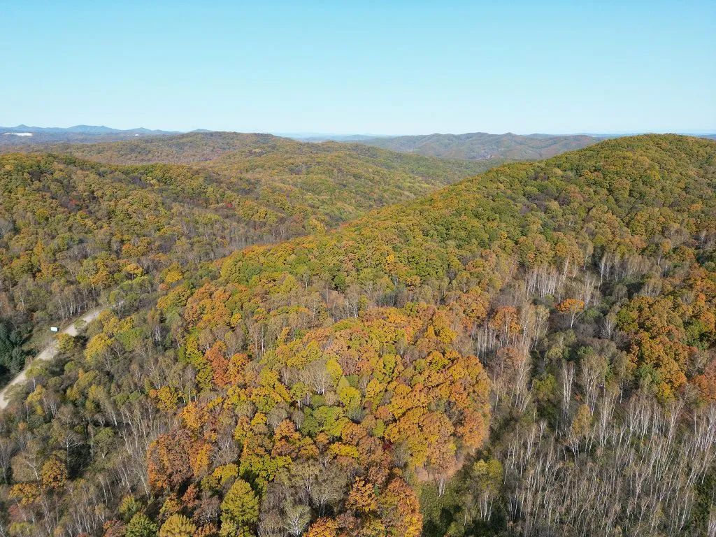 森林火災探測報警系統