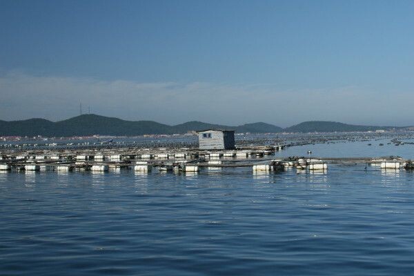 1海里沿海周邊船舶視頻識別監控攝像機怎么選型