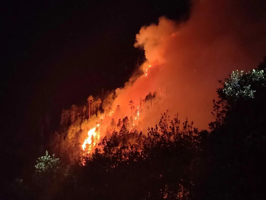 森林火災預警監控攝像機