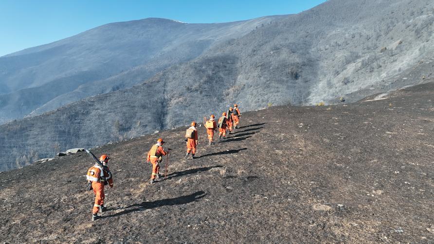 雙芯雙視距：基于熱成像與可見光的林地防火實時監測方案