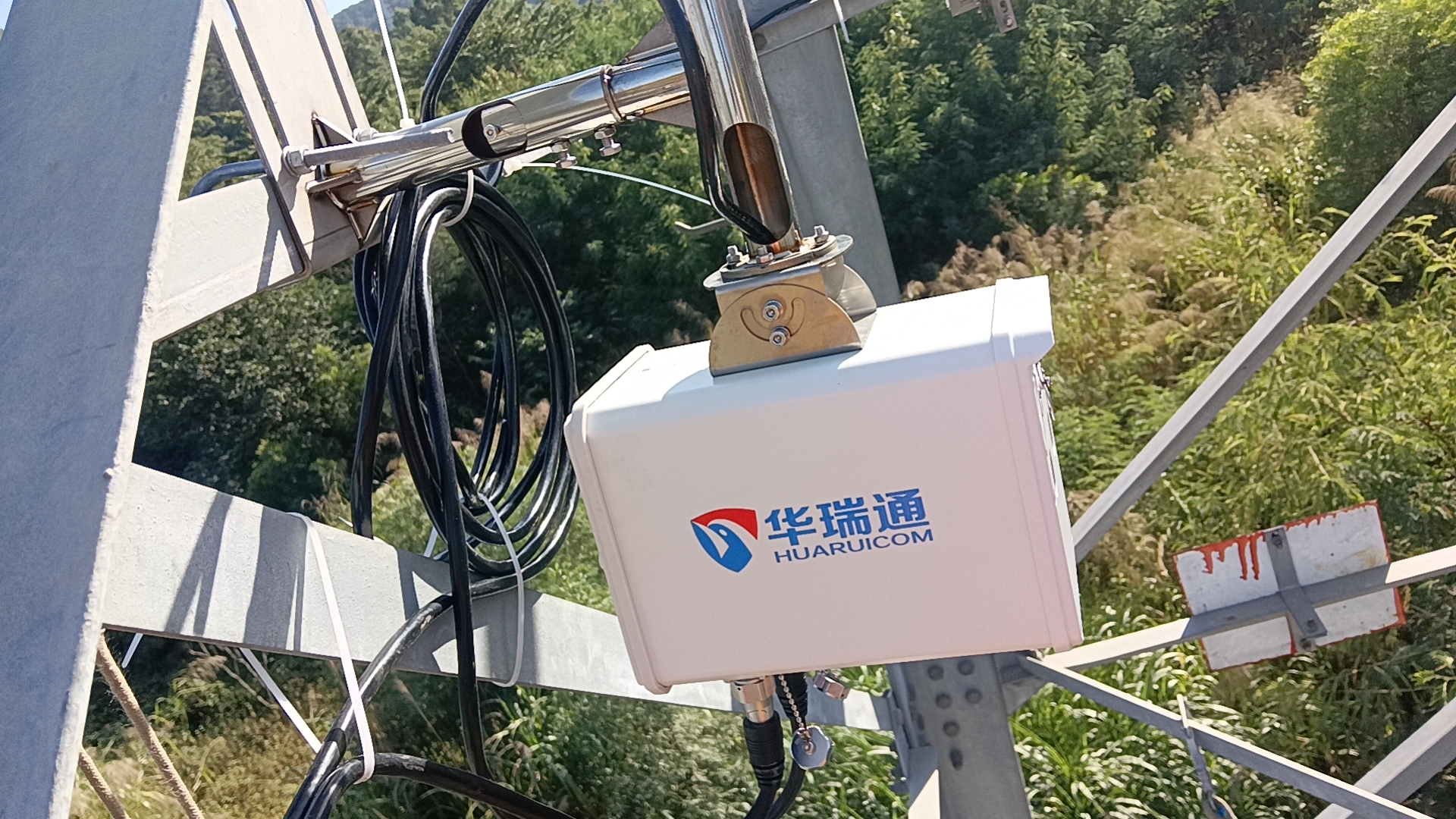 林區輸配電走廊：智能防火監控與植被管理系統構建